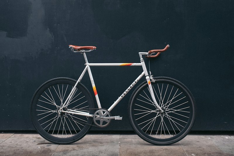 Mountain Bicycle (Trek / Hardtail)